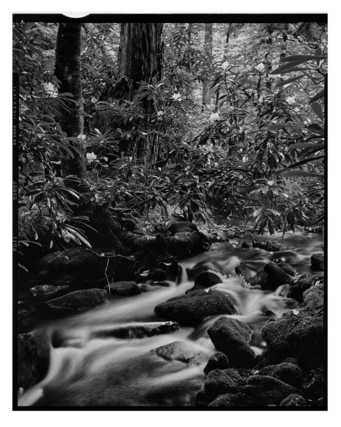 Detweiler Run #3, Large Format Monochrome Landscape Print from Film - "Detweiler Run #3" is offered as a limited edition, fine art black and white photographic print. I captured this subject in 4x5 film with an Ebony 4x5 view camera and 135mm APO Rodenstock Sironar S APO lens in the Detweiler Run Natural Area of Rothrock State Forest, Pennsylvania.