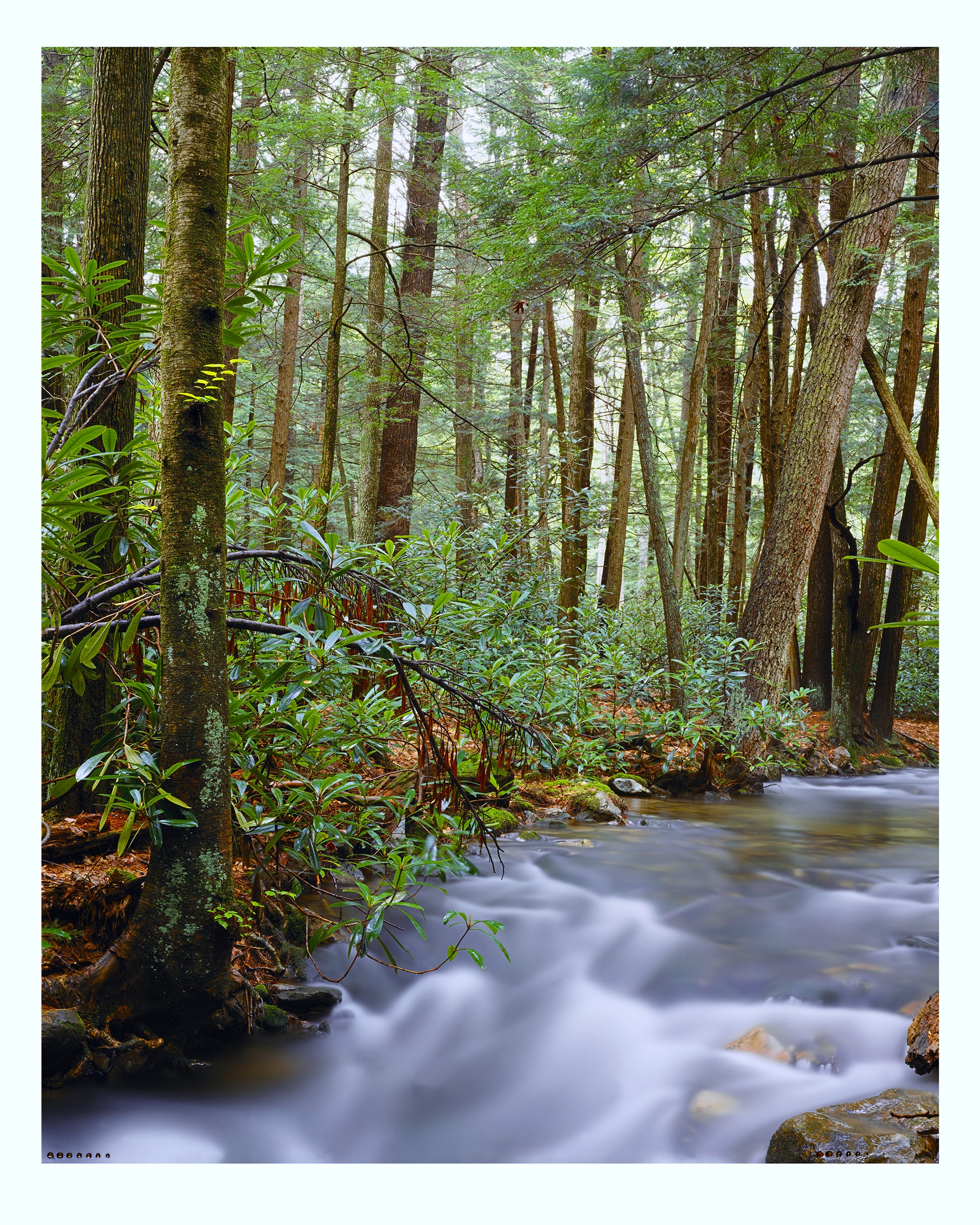 Standing Stone Creek #3 - Archival Color Print from 4x5 Transparency - Image 2