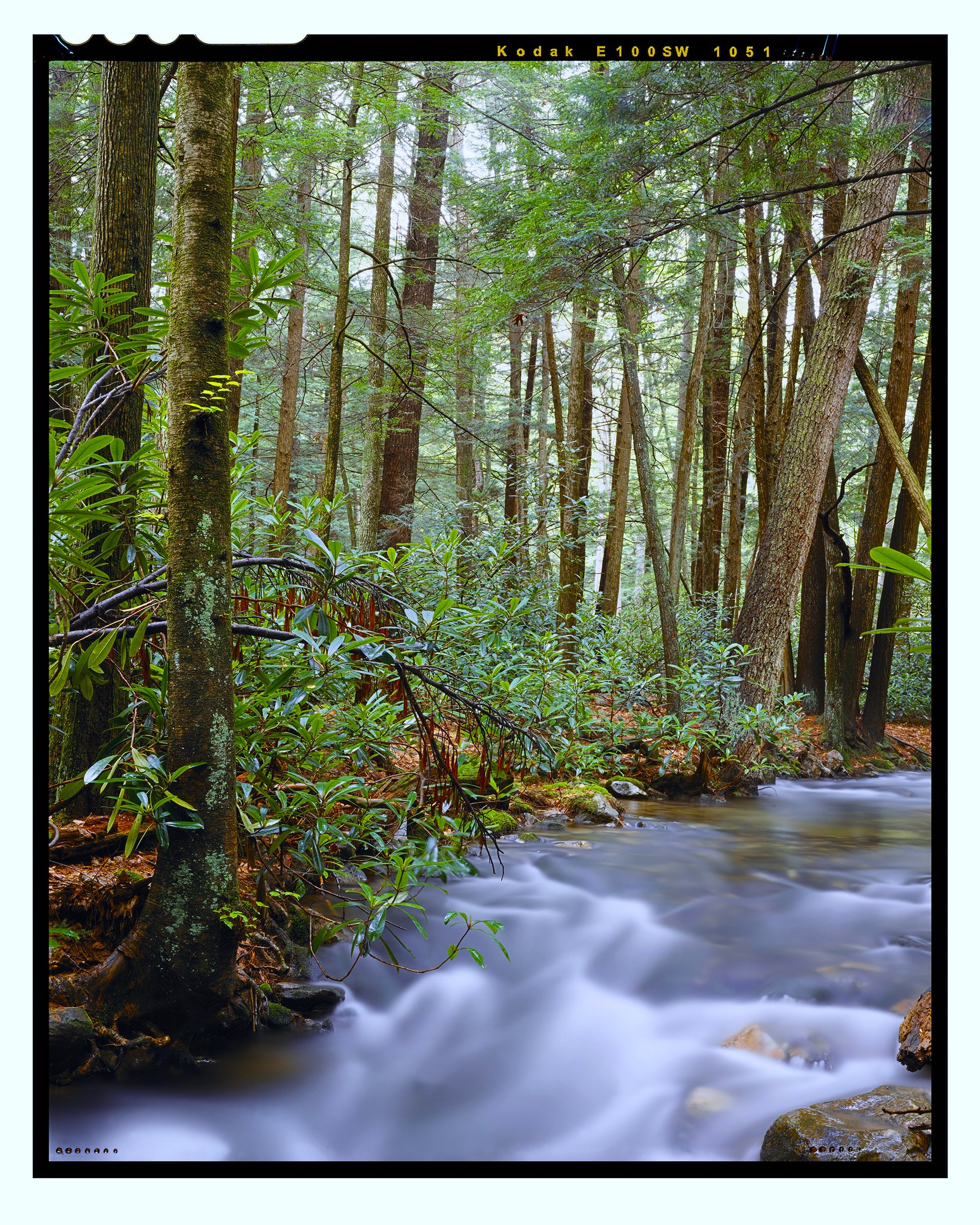 "Standing Stone Creek #3" is offered as a limited edition, color fine art photographic print. I captured this subject in Alan Seeger Natural Area in Rothrock State Forest, Pennsylvania
