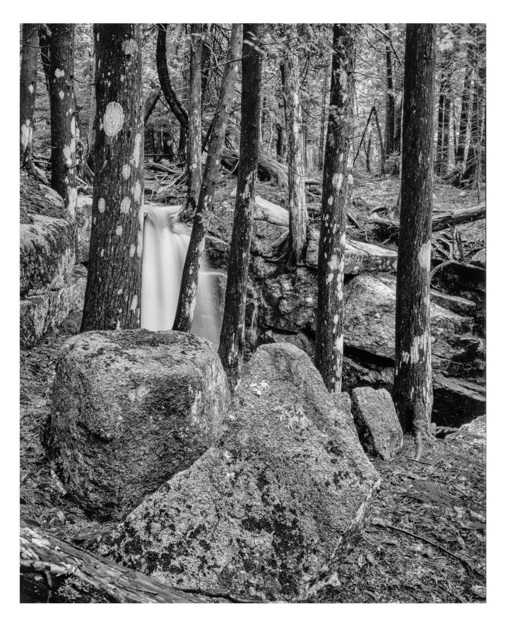 Cedar Falls #2, Acadia NP - B&W Landscape Print - "Cedar Falls #2" is offered as a limited edition, fine art black and white photographic print. I captured this subject in 4x5 film with an Ebony 4x5 view camera and 135mm APO Rodenstock Sironar S APO lens in Acadia National Park, in Downeast Maine.