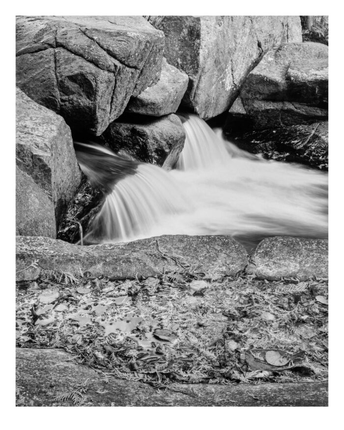 Emergence - Black & White Museum 0Quality Print from 4x5 Film "Emergence" is offered as a limited edition, fine art black and white photographic landscape print. I captured this subject with an Ebony 4x5 camera and 150mm Rodenstock Sironar S lens in in the Northwoods of Wisconsin.