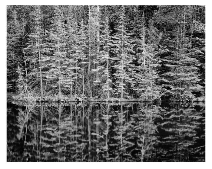 Fir Trees and Pond, UP - B&W Photographic Print - "Fir Trees and Pond" is offered as a limited edition, fine art black and white photographic print. I captured this subject in 4x5 film with an Ebony 4x5 view camera and 150mm APO Rodenstock Sironar S APO lens in the Upper Peninsula of Michigan.