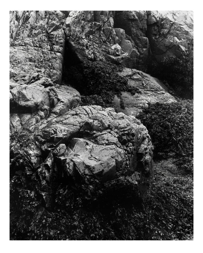 Granite and Kelp, Acadia - B&W Museum Quality Print from 4x5 Film