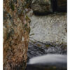 "Nineteen Mile Brook #4" is offered as a limited edition, color fine art photographic landscape print. I captured this subject in the White Mountains of New Hampshire