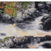 "Cisco Branch #8" is offered as a limited edition, fine art Color photographic print. I captured this subject in the Upper Peninsula of Michigan.