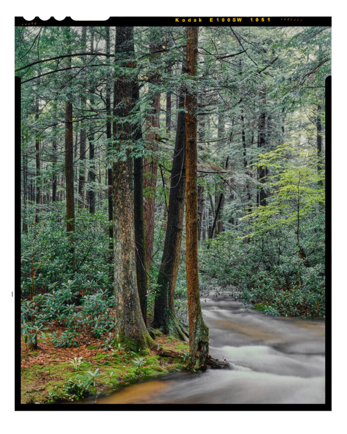 Stepping Stone Creek#11 - Color Photographic Print from 4x5 Film