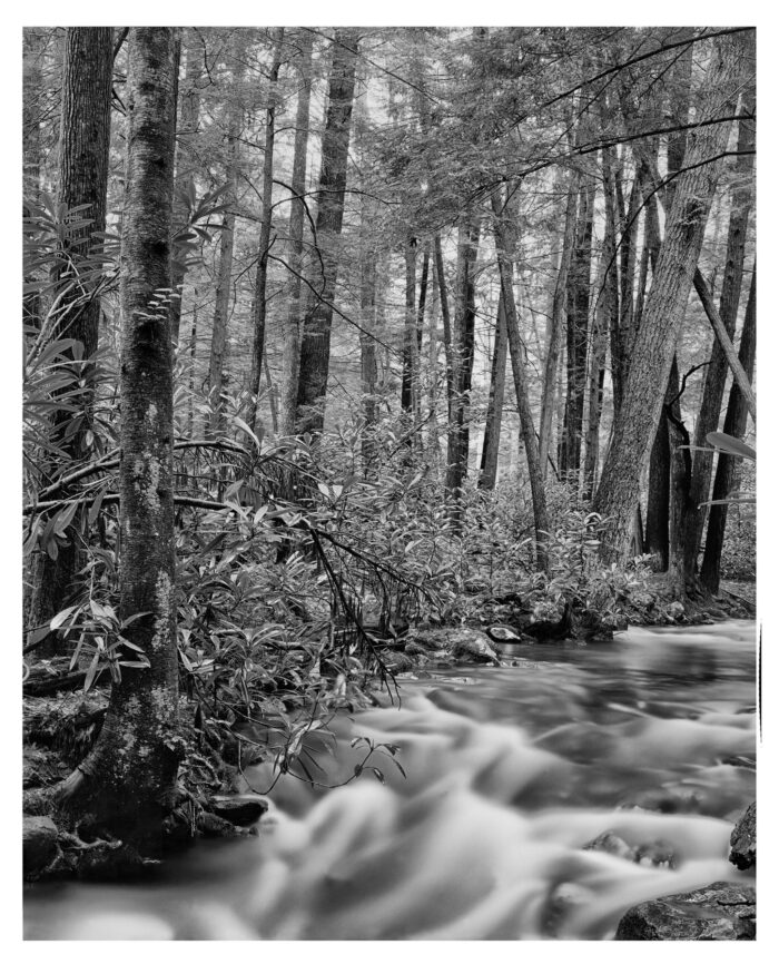 Standing Stone Creek #8 - B&W Landscape Print from Kodak T-Max 4x5 Film - "Standing Stone Creek #8" is offered as a limited edition, fine art black and white photographic print. I captured this subject on Kodak TMax 100 film with an Ebony 4x5 camera and 150mm Rodenstock Sironar S lens in Alan Seeger Natural Area, Rothrock State Forest, PA.