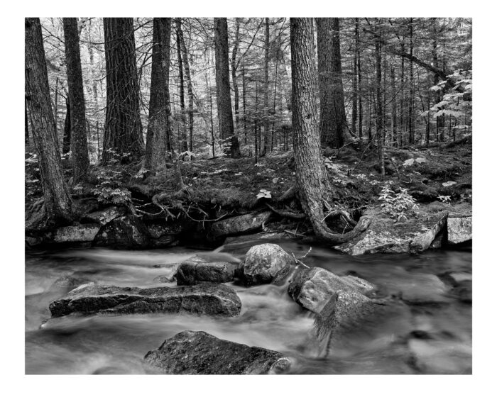 Pemigewasset River #16, The Basin, Franconia Notch, NH Museum Quality Prints "Pemigewasset River #16" is offered as a limited edition, fine art black and white photographic print. I captured this subject in Fuji digital medium format with Contax 645 120mm Planar lens in Franconia Notch State Park, New Hampshire.