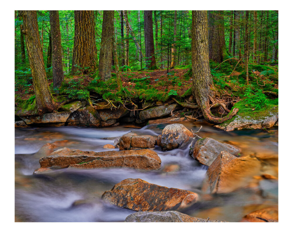 Pemigewasset River #16c, The Basin, Franconia Notch, NH Museum Quality Prints