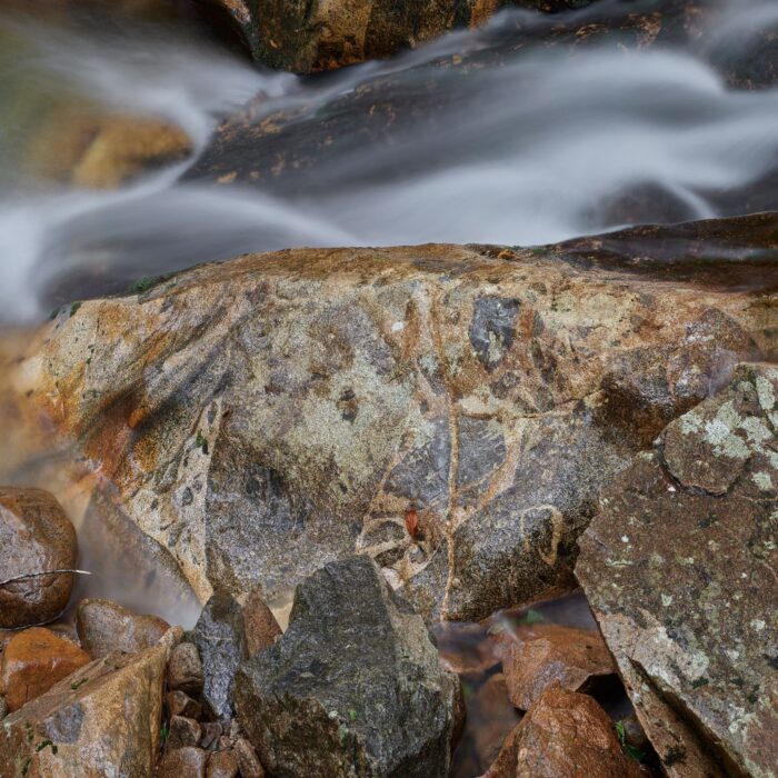 Intimate Landscapes in Color