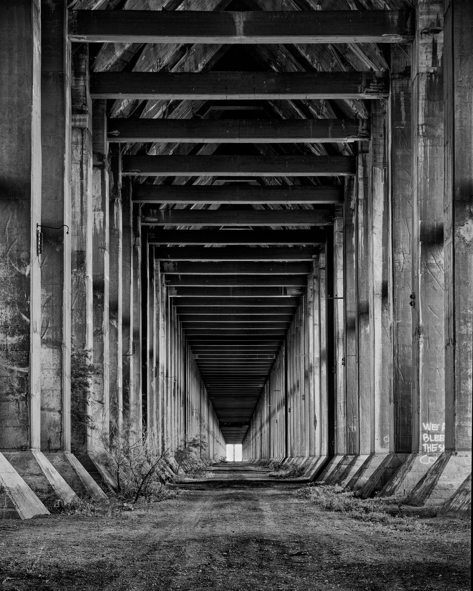 we all bleed the same color - fine art museum quality black and white print