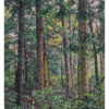 "Doomed Hemlocks #17" is offered as a limited edition, fine art Color photographic print. I captured this subject in the Detweiler Run Natural Area of Rothrock State Forest, Pennsylvania.
