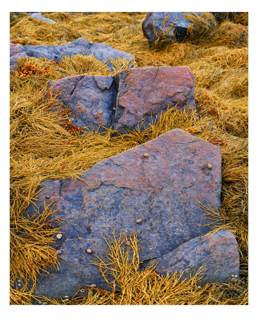 blunt-point-12-panoramic-fine-art-color-print